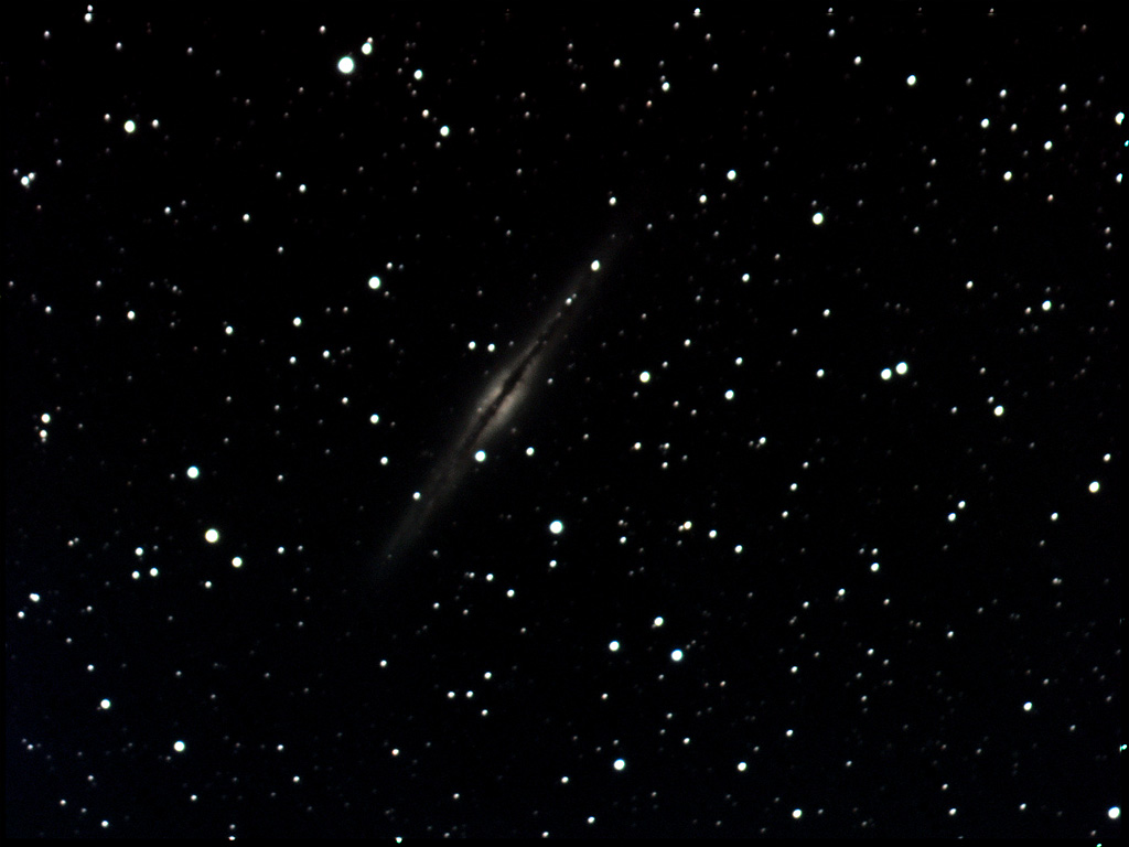 NGC891